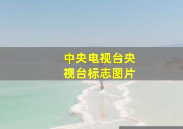 中央电视台央视台标志图片