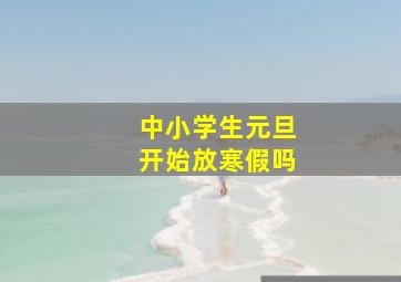 中小学生元旦开始放寒假吗