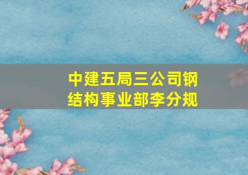 中建五局三公司钢结构事业部李分规