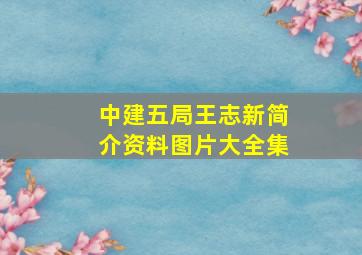 中建五局王志新简介资料图片大全集