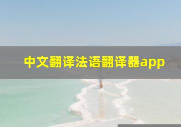 中文翻译法语翻译器app