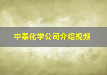 中泰化学公司介绍视频