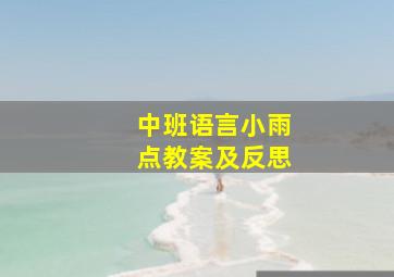 中班语言小雨点教案及反思