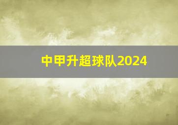 中甲升超球队2024