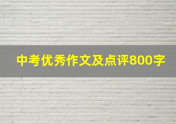 中考优秀作文及点评800字