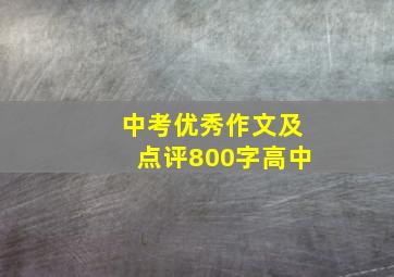 中考优秀作文及点评800字高中