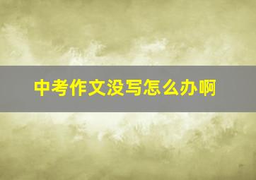 中考作文没写怎么办啊