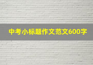 中考小标题作文范文600字