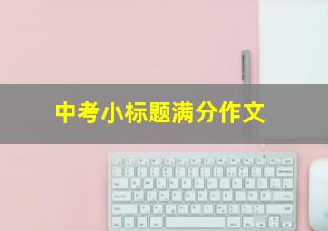 中考小标题满分作文