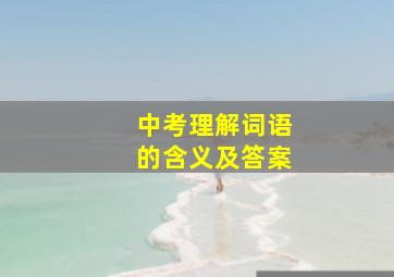 中考理解词语的含义及答案