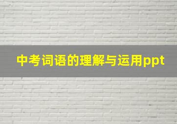 中考词语的理解与运用ppt