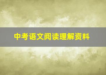 中考语文阅读理解资料