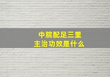 中脘配足三里主治功效是什么