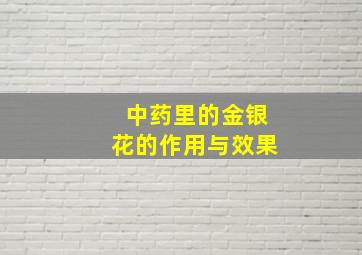 中药里的金银花的作用与效果