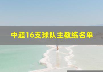 中超16支球队主教练名单