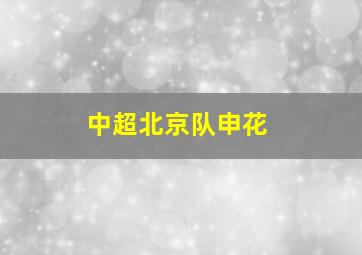 中超北京队申花