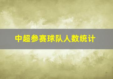 中超参赛球队人数统计