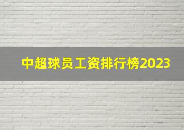 中超球员工资排行榜2023