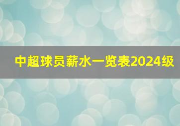 中超球员薪水一览表2024级