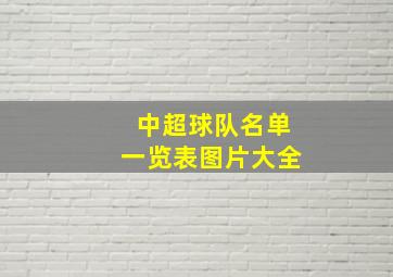 中超球队名单一览表图片大全