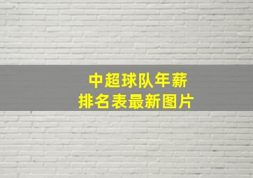 中超球队年薪排名表最新图片