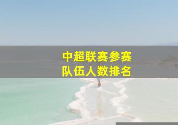 中超联赛参赛队伍人数排名