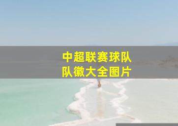 中超联赛球队队徽大全图片