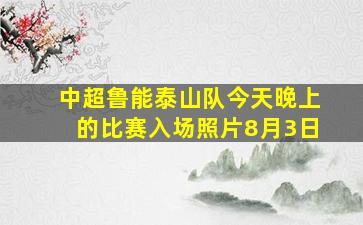 中超鲁能泰山队今天晚上的比赛入场照片8月3日