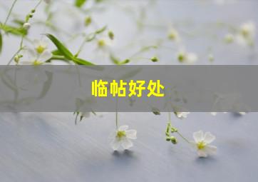 临帖好处