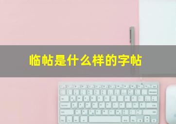 临帖是什么样的字帖