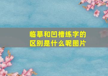 临摹和凹槽练字的区别是什么呢图片