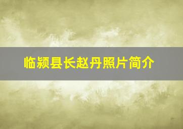 临颍县长赵丹照片简介