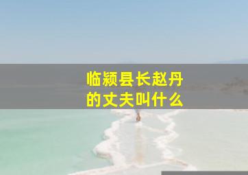 临颍县长赵丹的丈夫叫什么