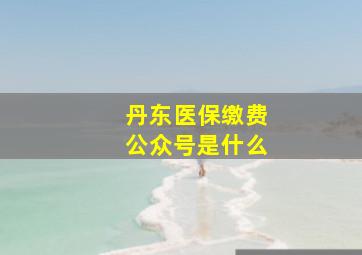 丹东医保缴费公众号是什么