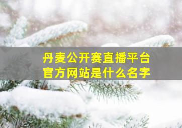 丹麦公开赛直播平台官方网站是什么名字