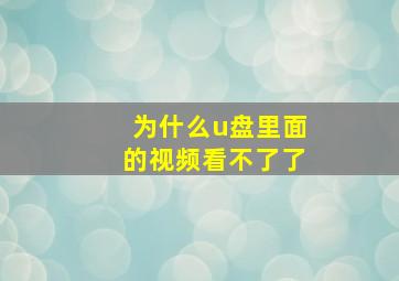 为什么u盘里面的视频看不了了