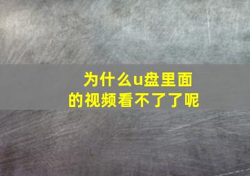 为什么u盘里面的视频看不了了呢