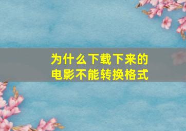 为什么下载下来的电影不能转换格式