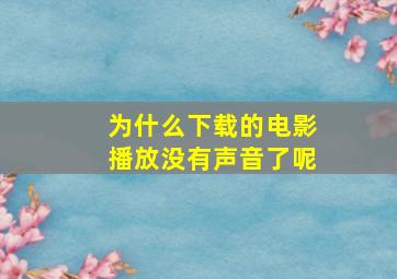 为什么下载的电影播放没有声音了呢