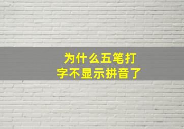 为什么五笔打字不显示拼音了