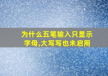 为什么五笔输入只显示字母,大写写也未启用