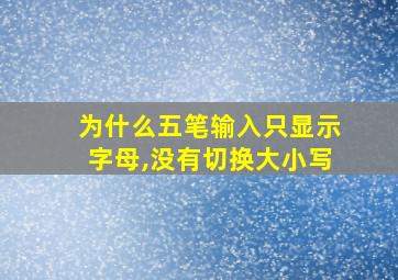 为什么五笔输入只显示字母,没有切换大小写