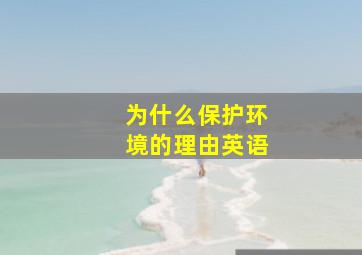 为什么保护环境的理由英语