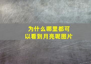 为什么哪里都可以看到月亮呢图片