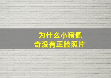 为什么小猪佩奇没有正脸照片