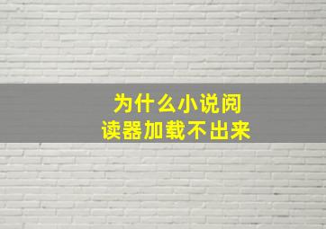 为什么小说阅读器加载不出来