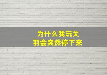 为什么我玩关羽会突然停下来