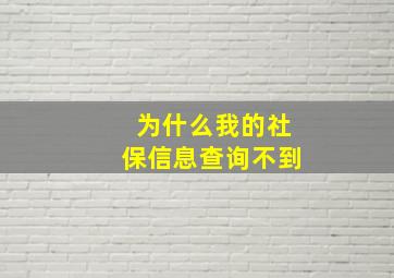 为什么我的社保信息查询不到