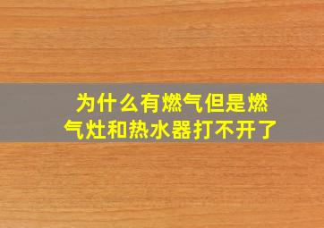 为什么有燃气但是燃气灶和热水器打不开了