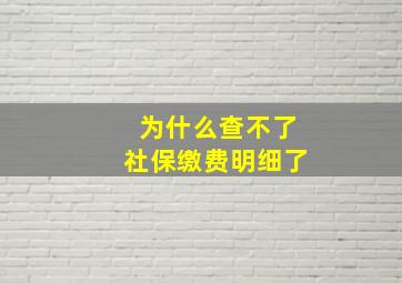 为什么查不了社保缴费明细了